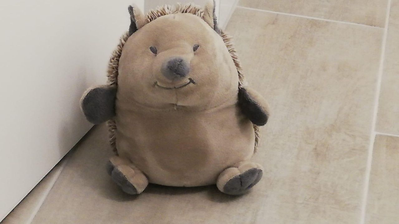 Der kleine Aufpasser Der kleine Aufpasser